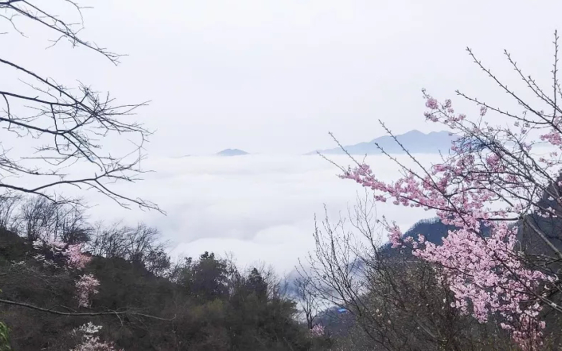 EVO视讯·(中国)官方网站