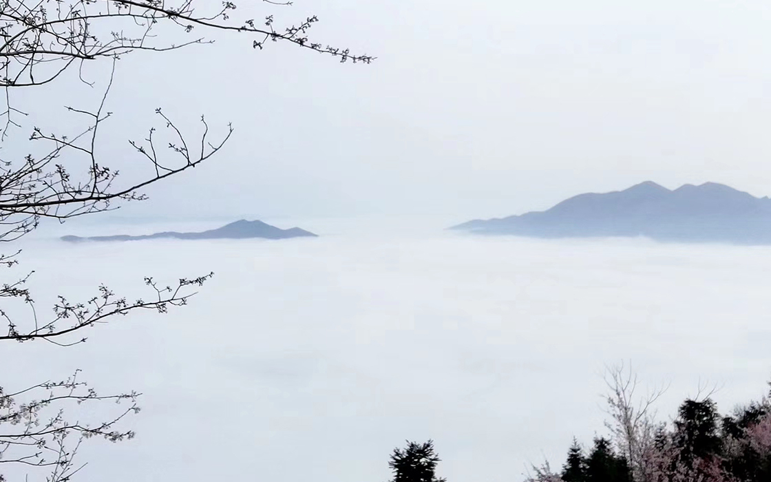 EVO视讯·(中国)官方网站