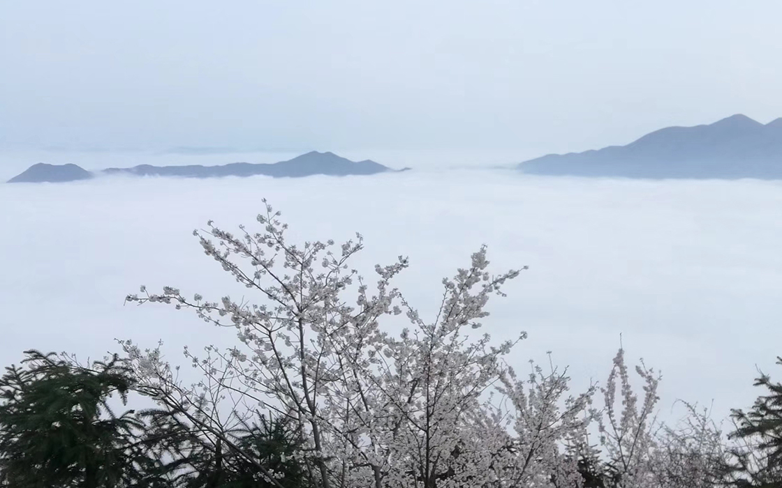 EVO视讯·(中国)官方网站