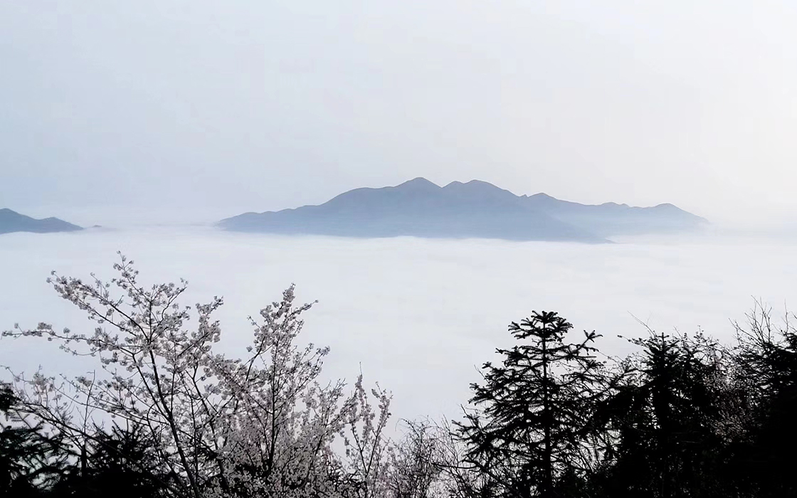 EVO视讯·(中国)官方网站