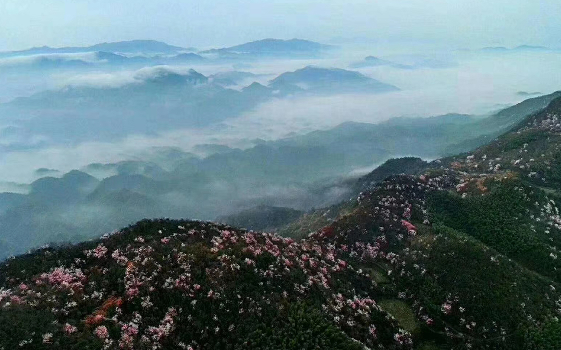 EVO视讯·(中国)官方网站