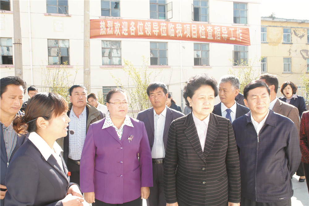 4中央政治局委员，，，，，，国务院副总理、党组成员刘延东视察湖北EVO视讯集团青海项目部 